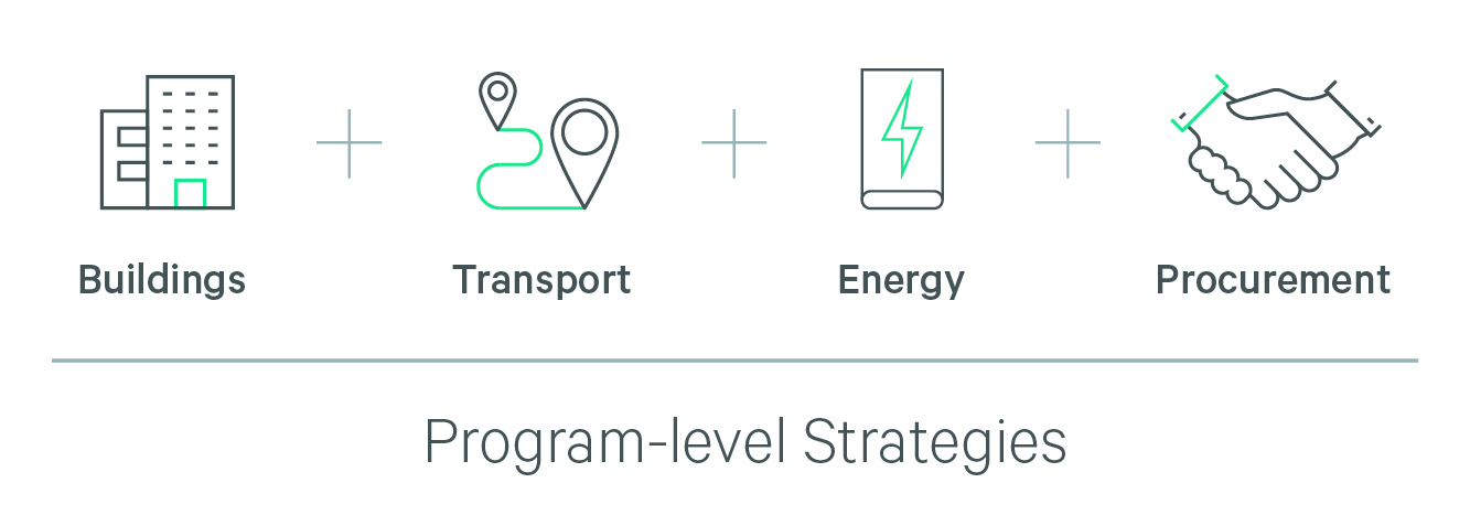 icons representing program level strategies